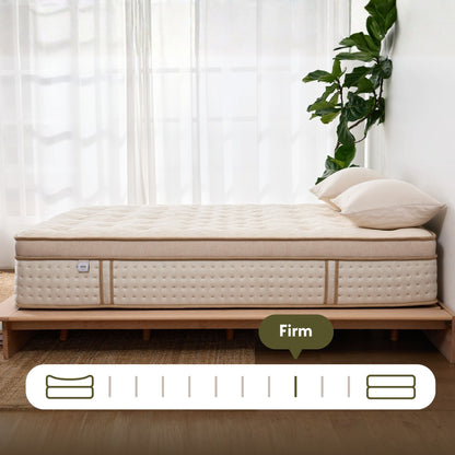 Emerspring Canora 14" Hybrid Mattress