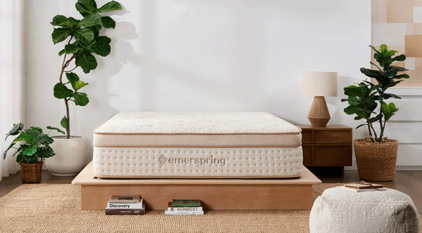 Emerspring Canora 14" Hybrid Mattress
