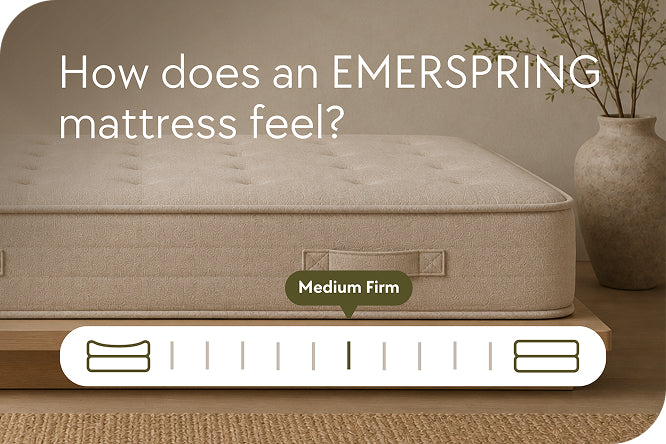 Emerspring Canora 12" Hybrid Mattress